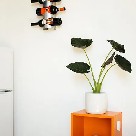 Duplex Climatise Avec Terrasse Sans Vis A Vis Dans L'hypercentre نيم