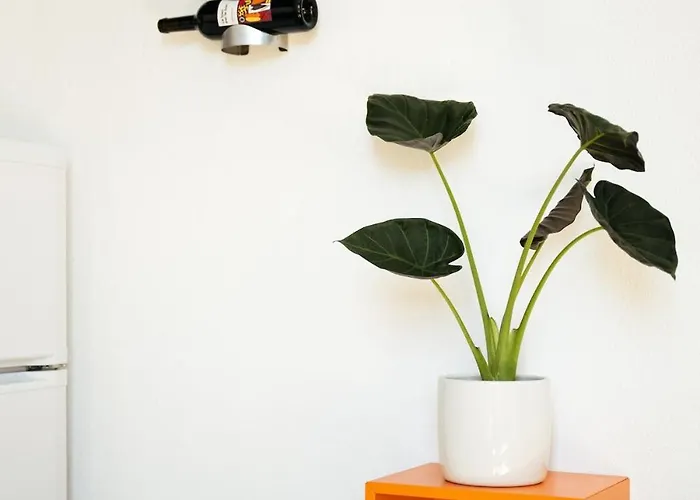 Duplex Climatise Avec Terrasse Sans Vis A Vis Dans L'hypercentre Nîmes